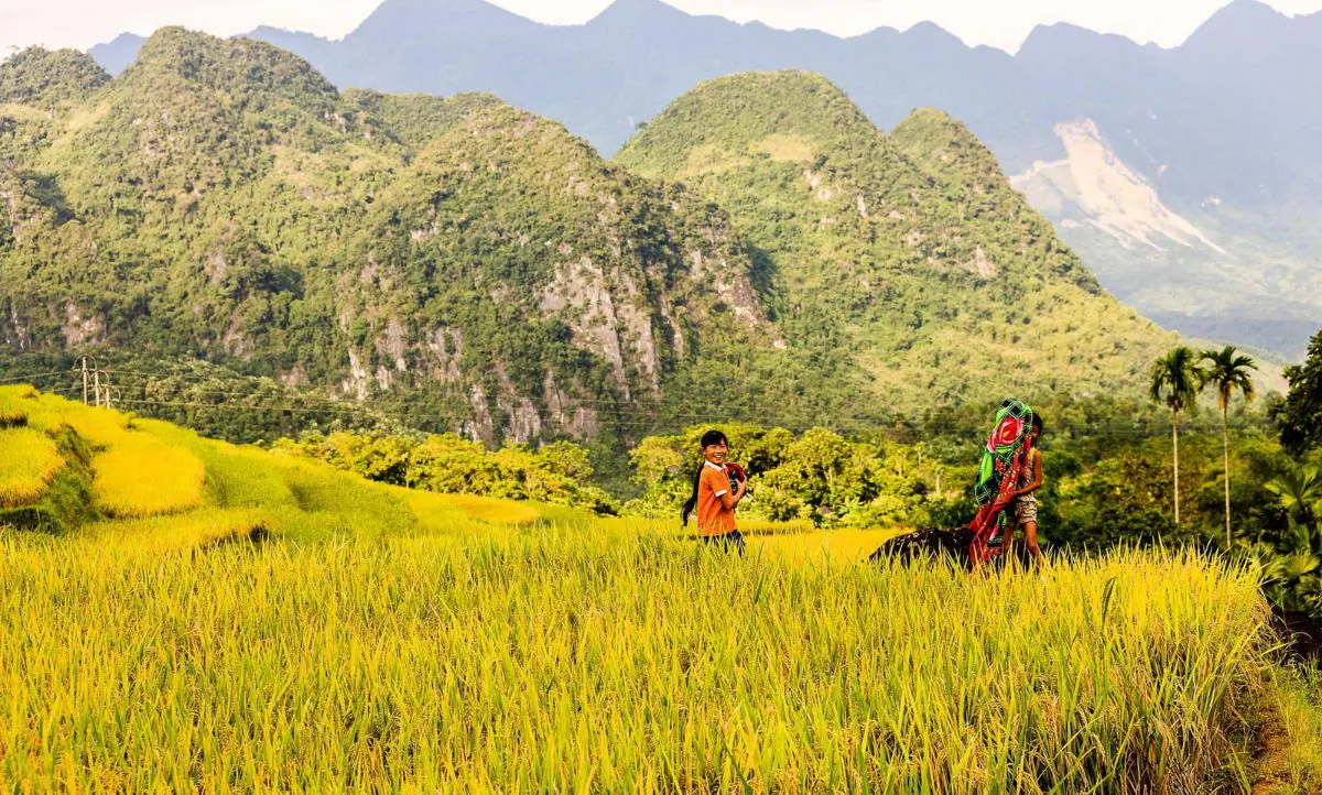The mesmerizing landscape and trekking excursions near Mai Chau Ecolodge