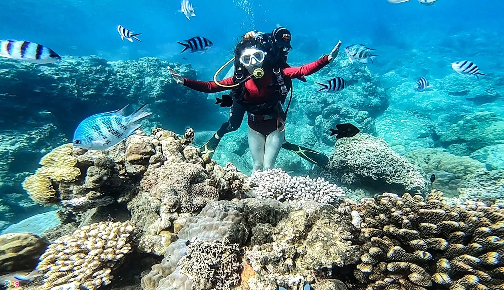 Snorkeling vibrant coral reefs is a highlight of any exciting Danang tour package adventure.