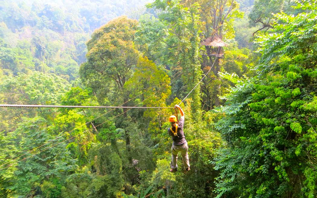 The Renowned Doi Suthep Trek, a highlight of a chiang mai trekking tour