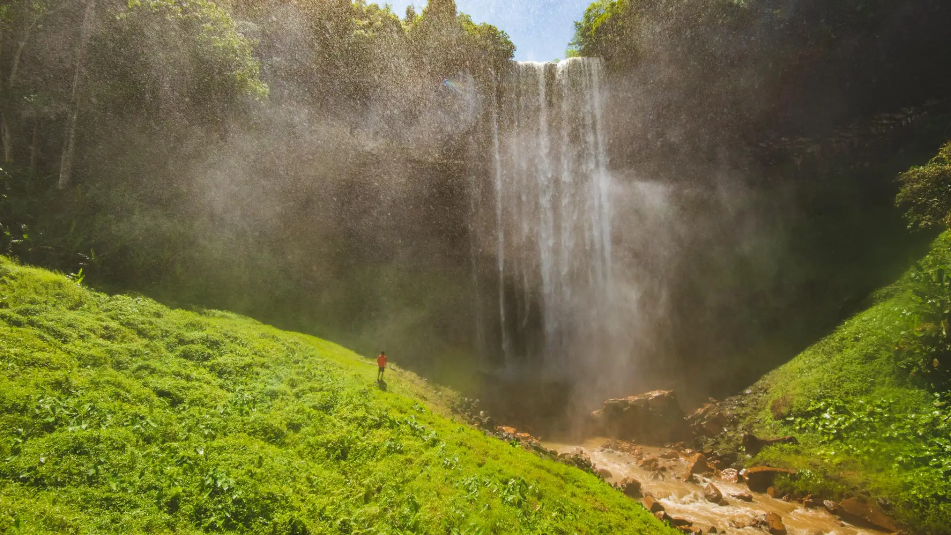 Xe Pian is a haven for rare and threatened species.