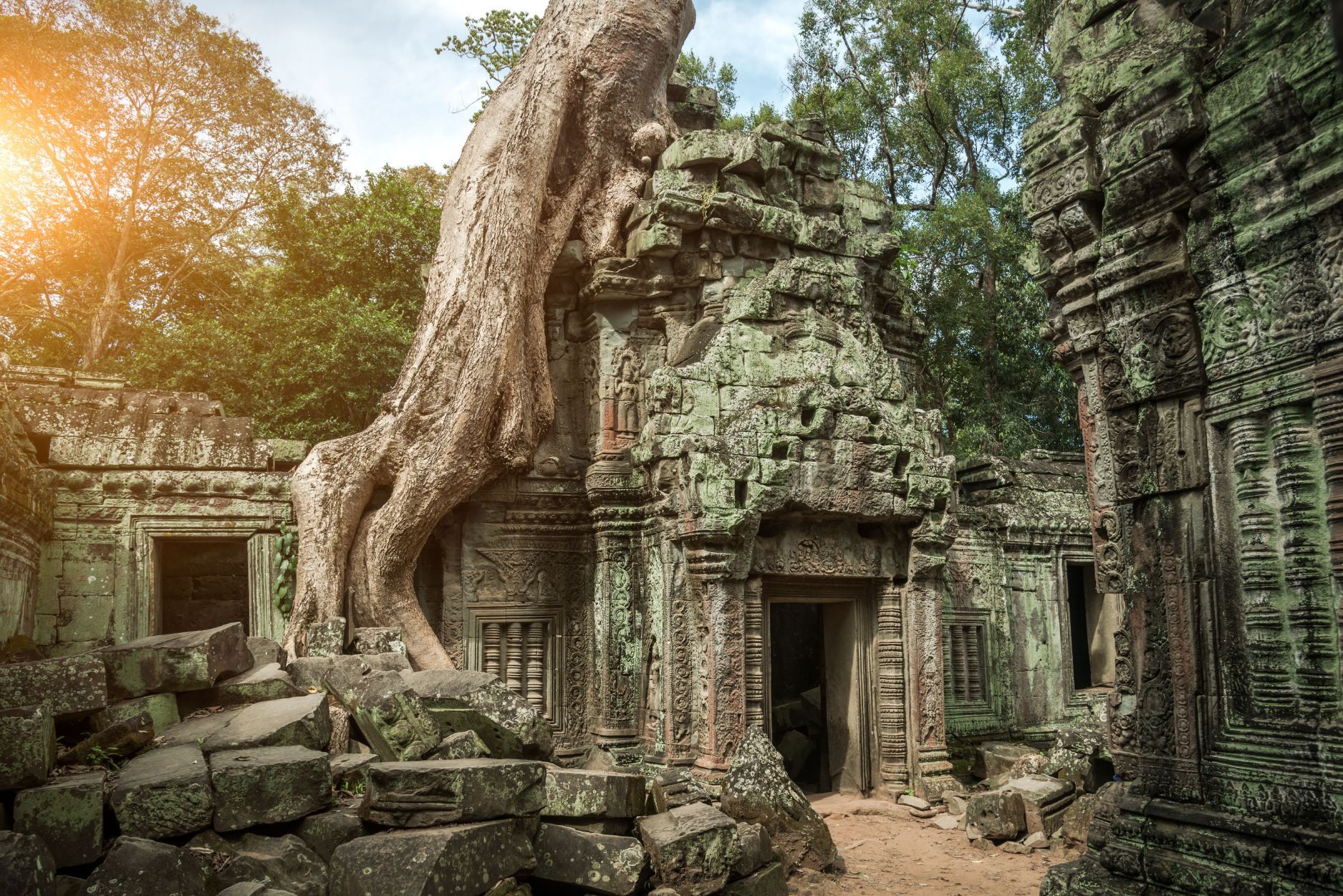 Angkor Wat tours discovering ancient Ta Prohm