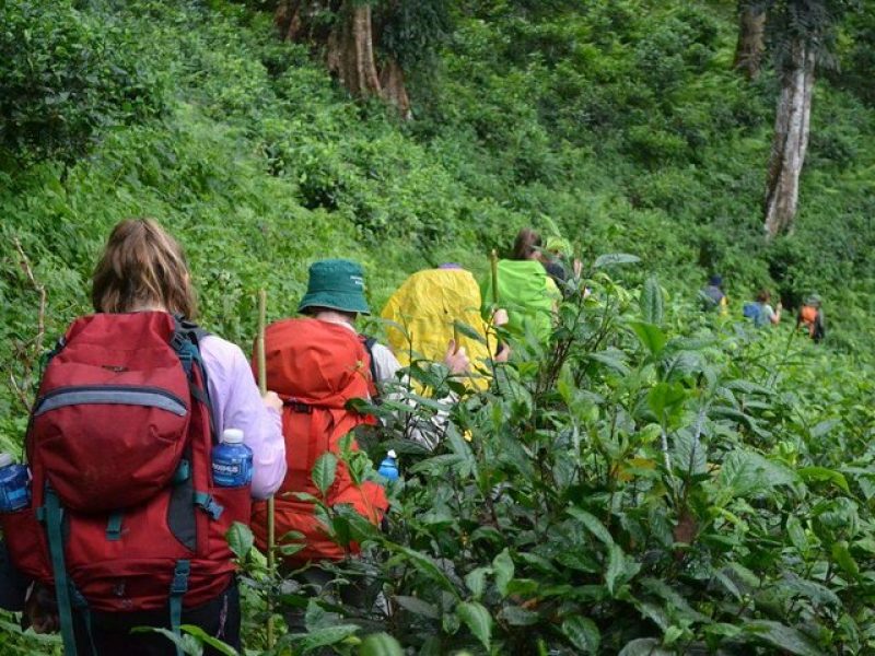 The Journey from Muang Kurt to Huay Kukap, a highlight of a chiang mai trekking tour