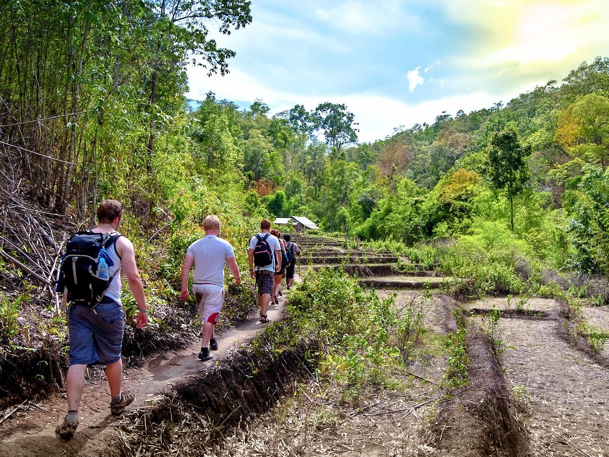 A group of tourists hiking along a dirt trail through lush green forest and stepped fields in the hills, representing a typical chiang mai trekking tour