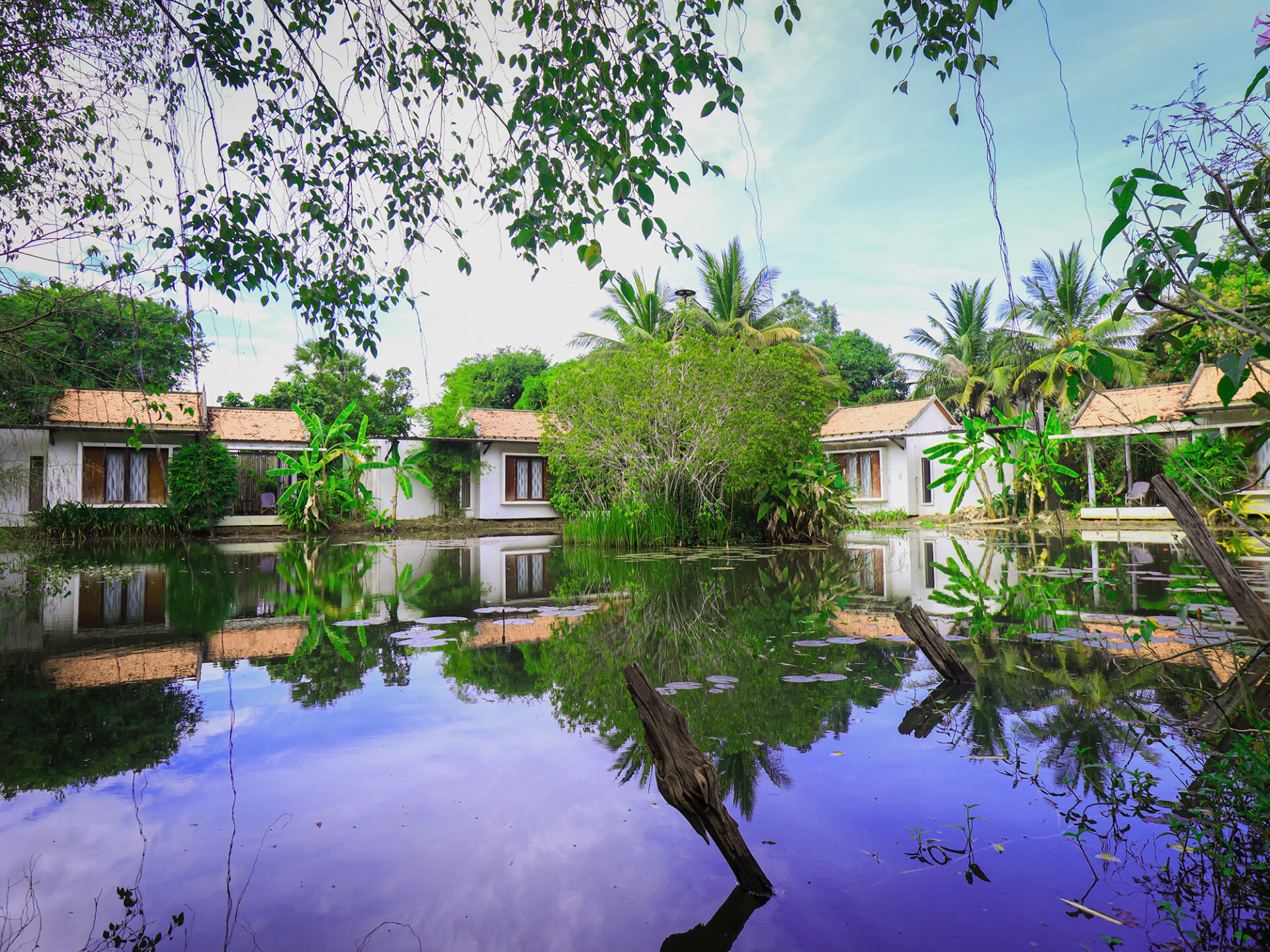 The garden villas at Battambang Resort & Spa are situated beside a tranquil lake, surrounded by tropical trees and lush greenery.