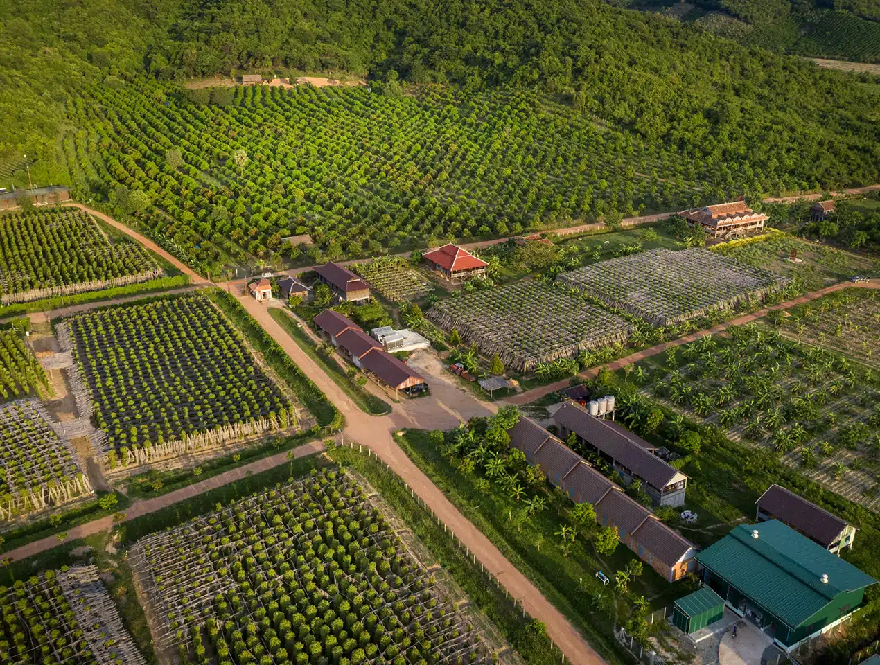 La Plantation Kep is an indispensable part of any Cambodian itinerary