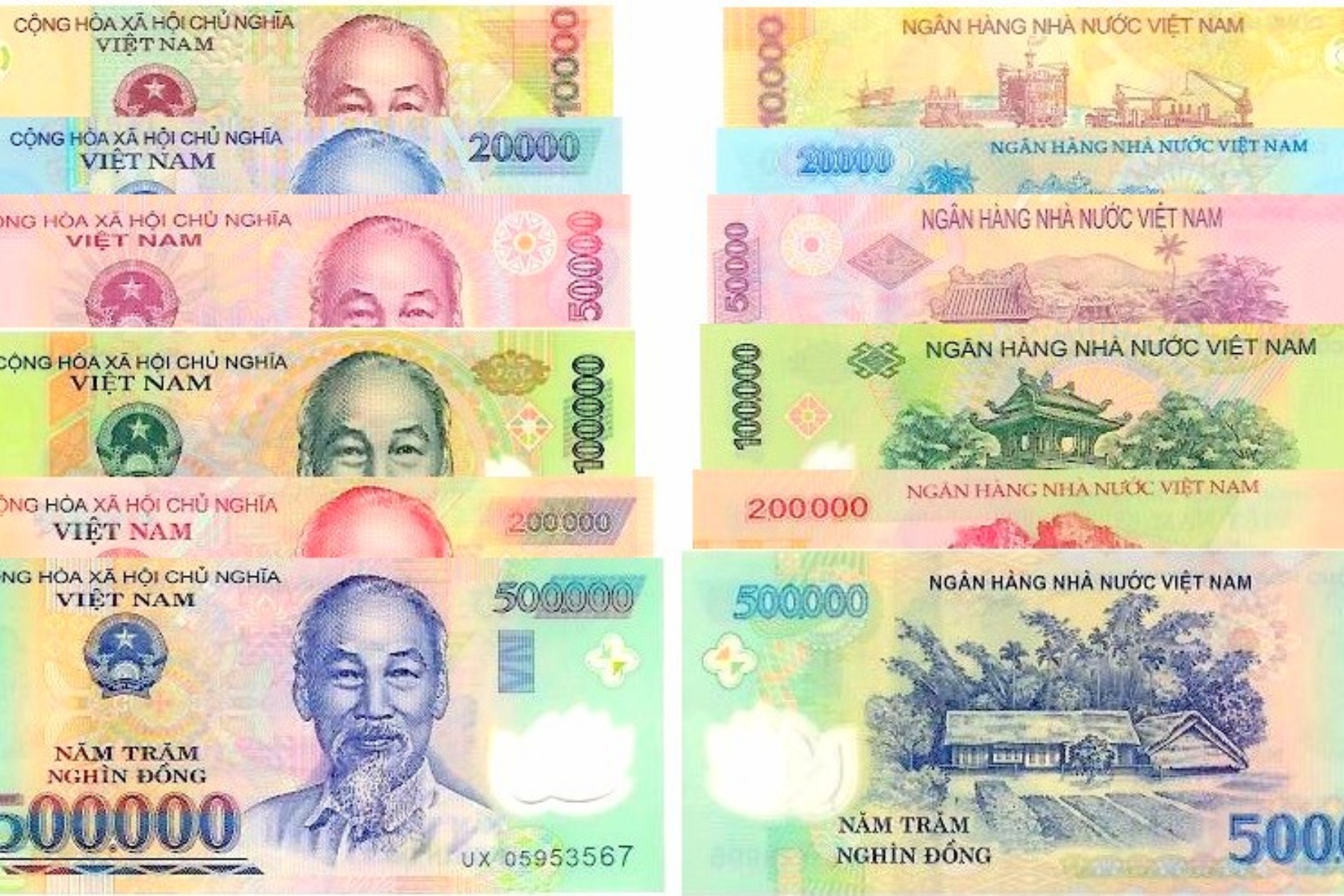 Currency in Vietnam featuring Vietnamese Dong banknotes with different denominations from 20000 to 500000 VND displayed together