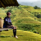 Scenic Sapa rice terraces reflecting traditional farming culture in Vietnam