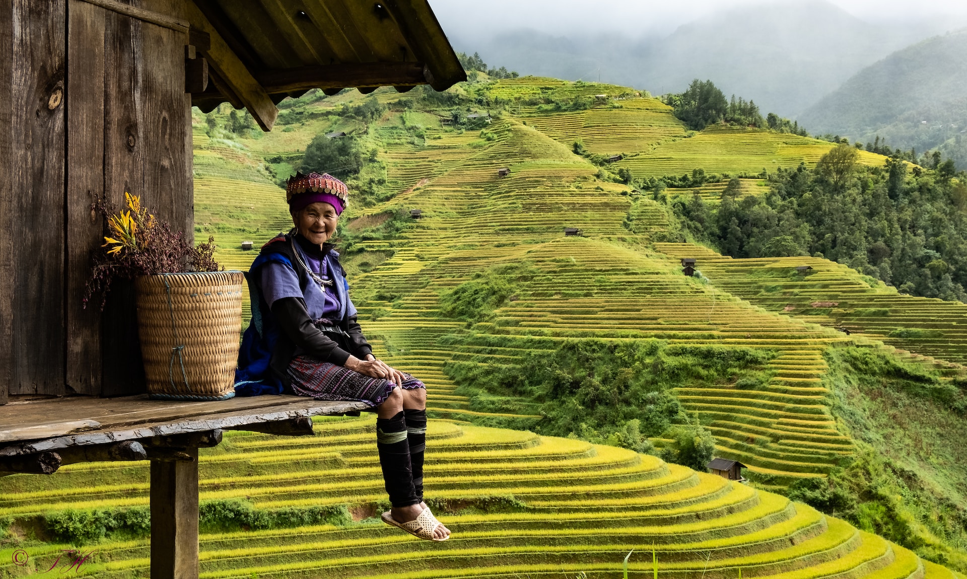 Scenic Sapa rice terraces reflecting traditional farming culture in Vietnam