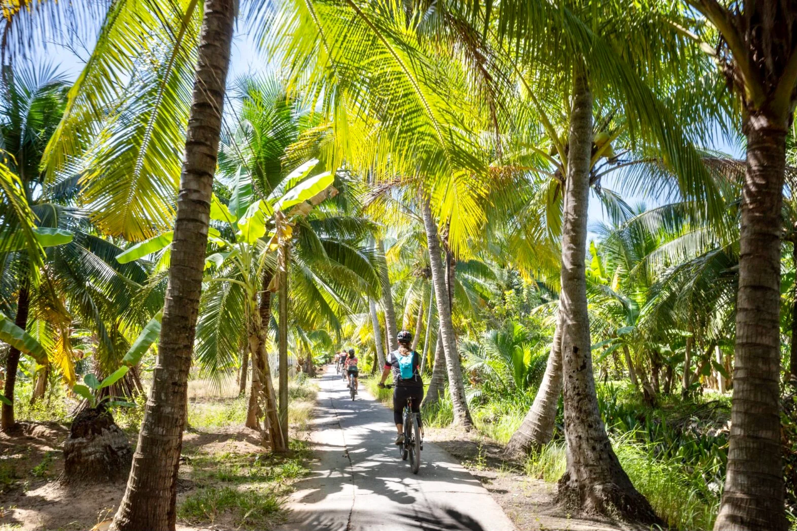 Tourists enjoy a peaceful cycle along palm-fringed paths through local villages, a top pick for things to do Vietnam