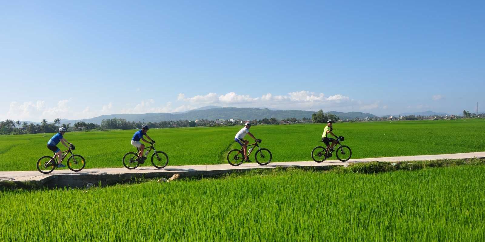 Vietnam bicycle tours cycling through green rice fields countryside