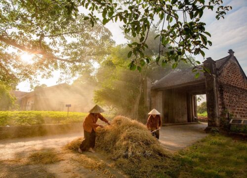 Duong Lam Ancient Village –  Things to Know Before Visiting