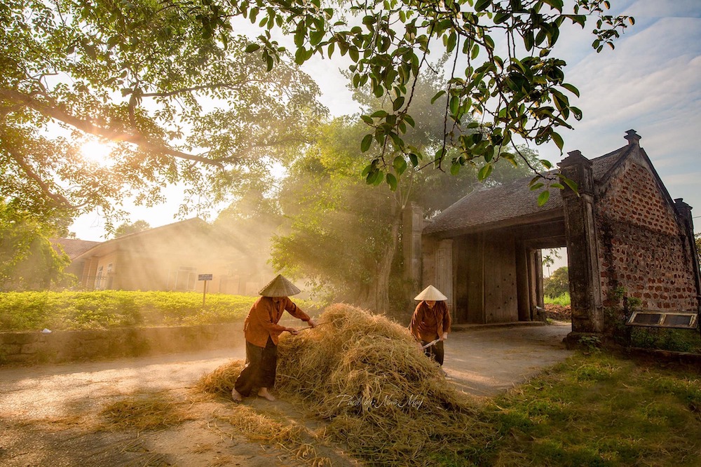 Duong Lam Ancient Village - “Slow living” in the Doai countryside